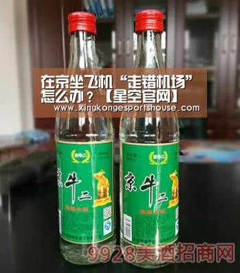 在京坐飞机“走错机场”怎么办？【星空官网】