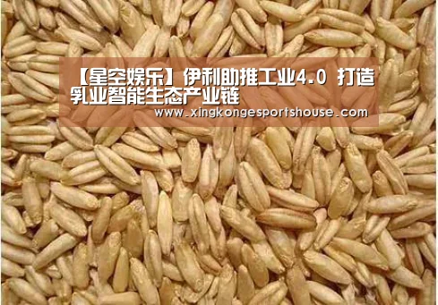 【星空娱乐】伊利助推工业4.0 打造乳业智能生态产业链