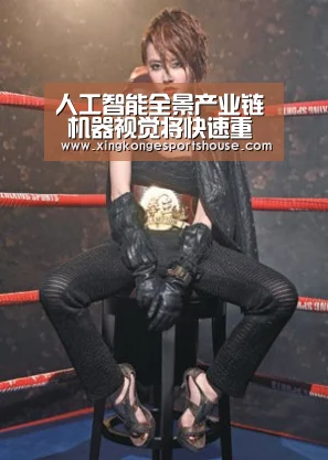 人工智能全景产业链 机器视觉将快速重构_星空竞猜(图2) 星空娱乐