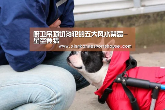 厨卫吊顶切勿犯的五大风水禁忌-星空竞猜